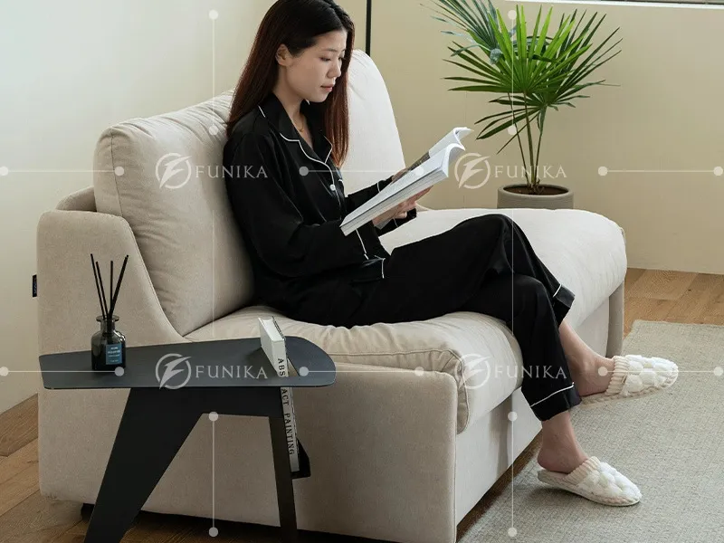 Địa chỉ cung cấp sofa giường thông minh tại An Giang rẻ đẹp dịch vụ chuyên nghiệp