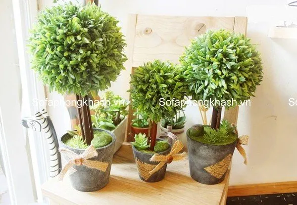 Gợi ý trang trí cây cảnh giả cho không gian sống tại Hà Nội