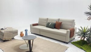 Ảnh đại diện ghế sofa giường thông minh F266